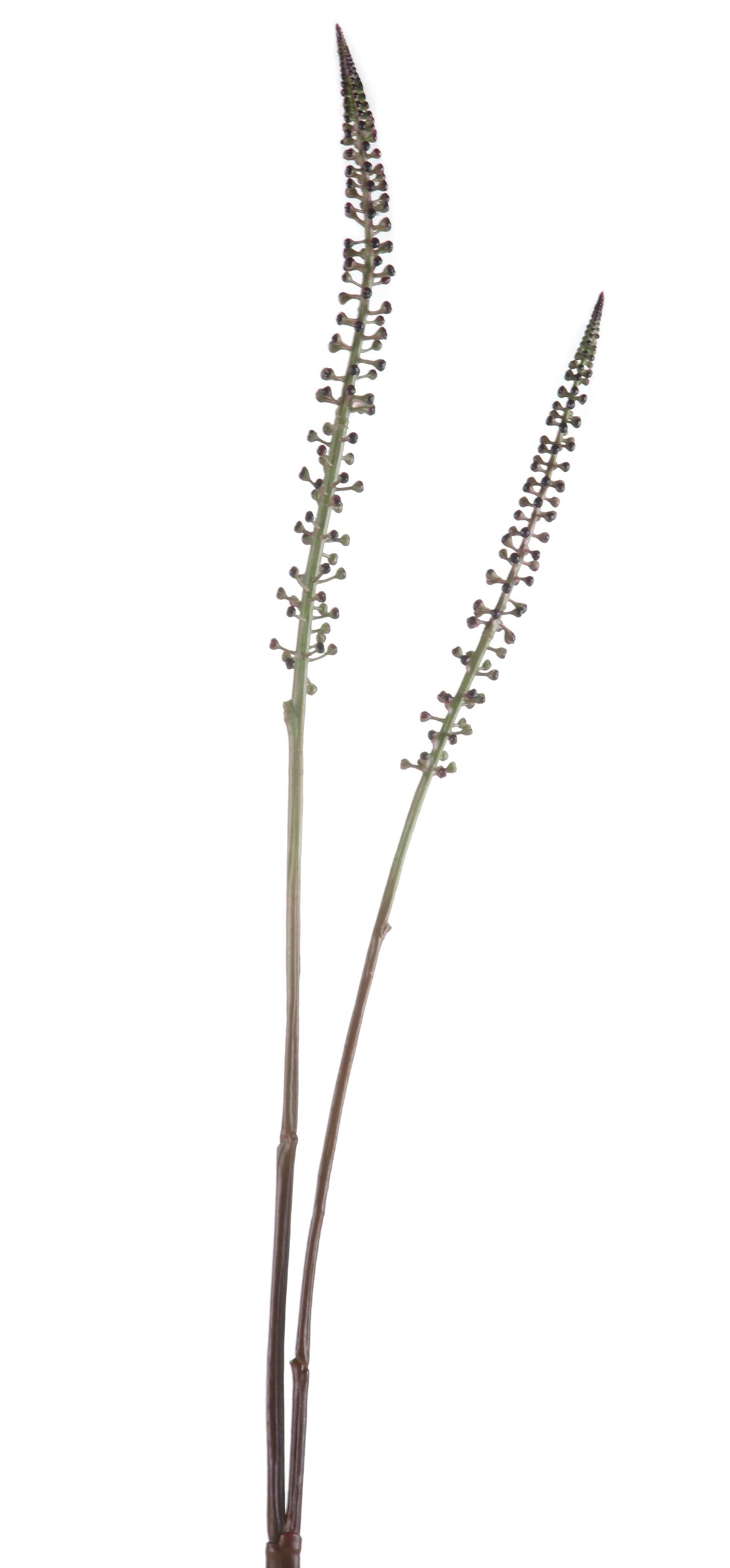 Spikes 06