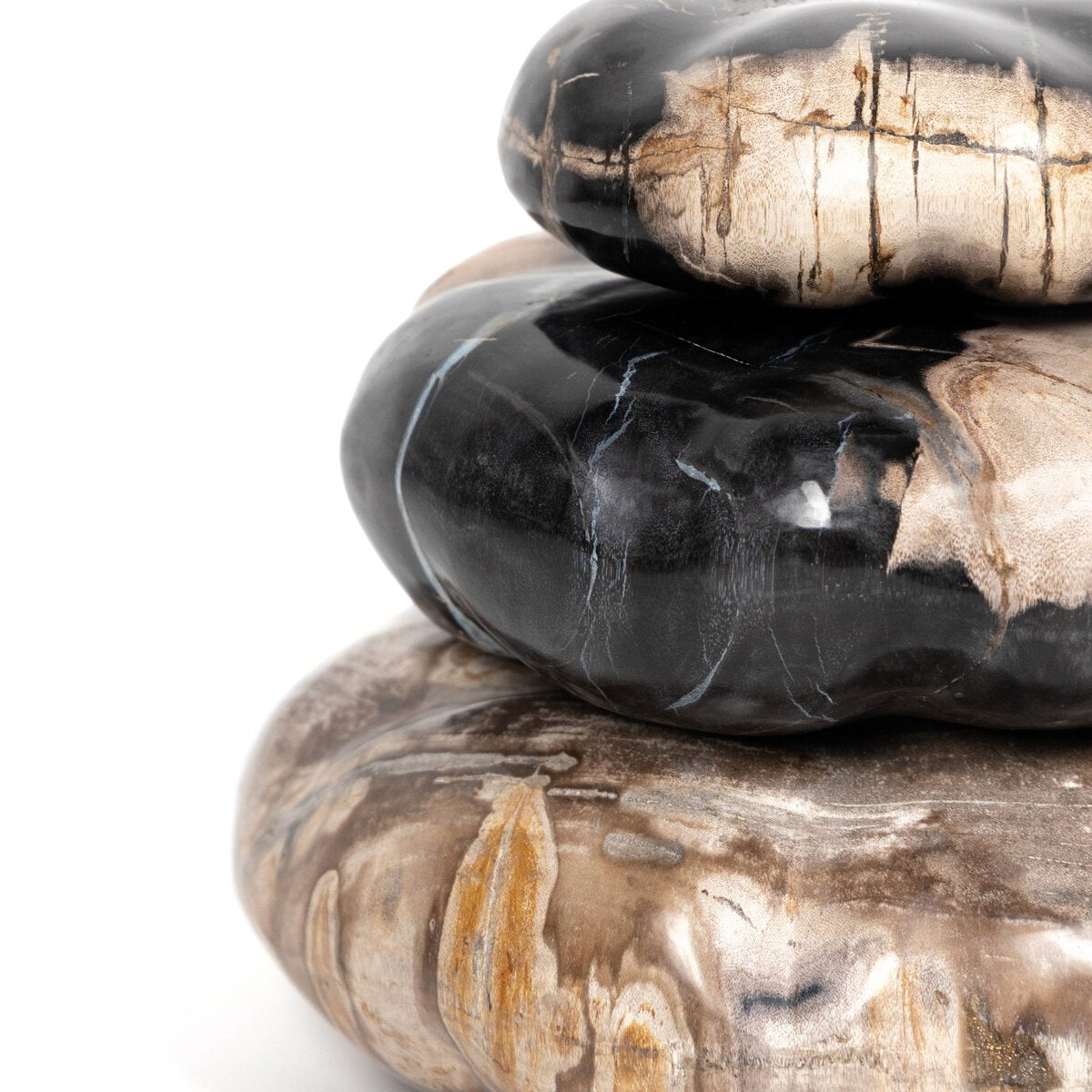 Petrified Wood Organic Sculpture, Set Of 3