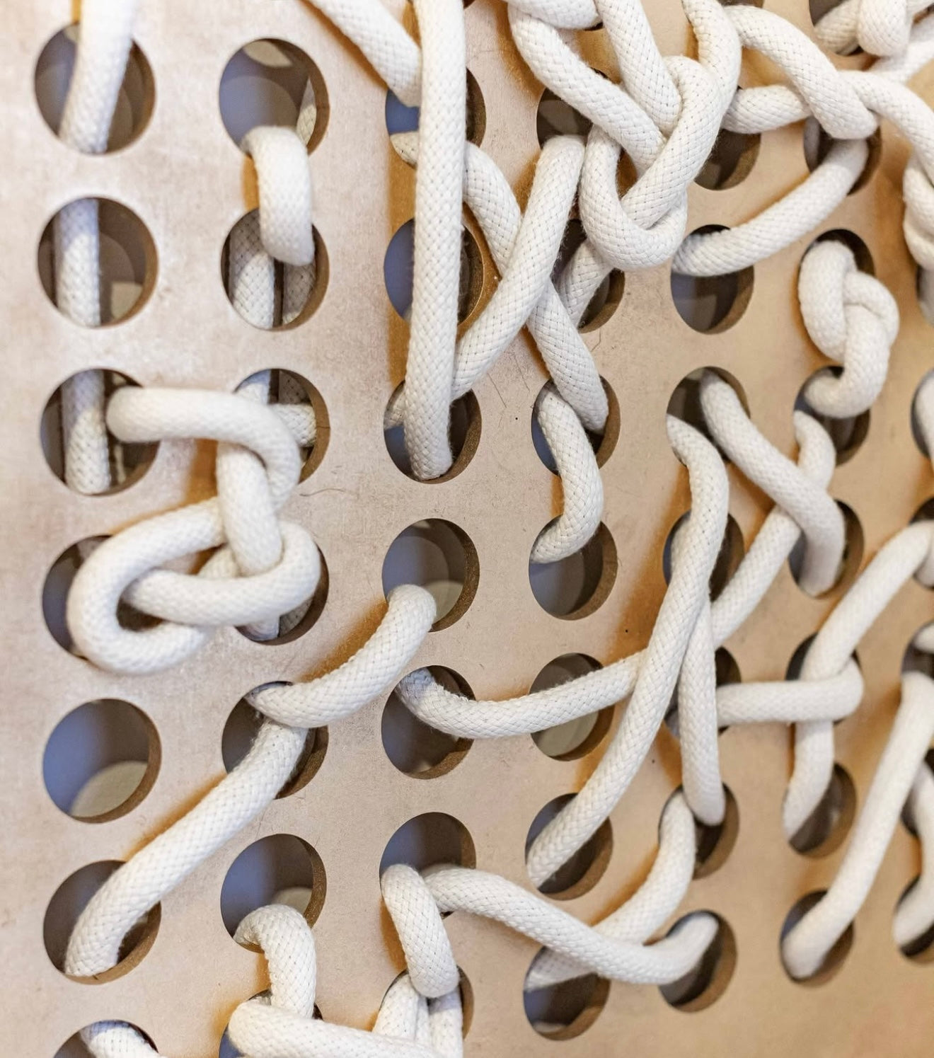 Cuadros Záparo Set of 2 - Large