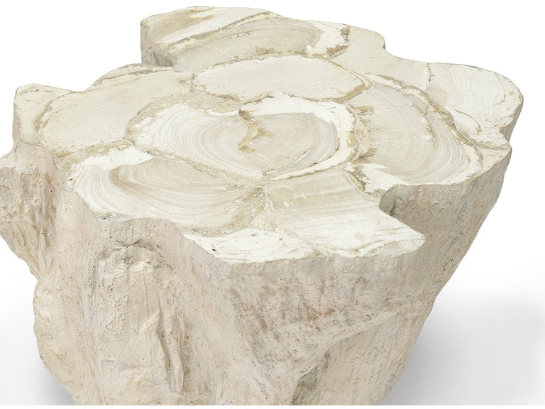 CAMILLA FOSSILIZED CLAM SIDE TABLE