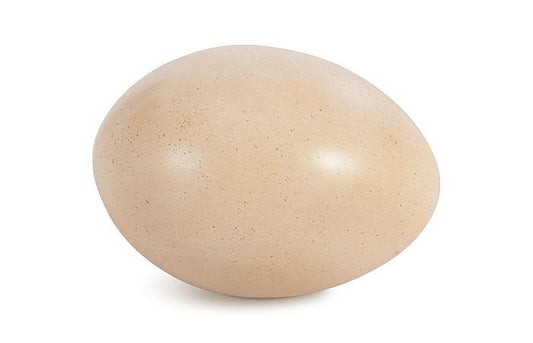 Sauropod Egg, Brown, LG